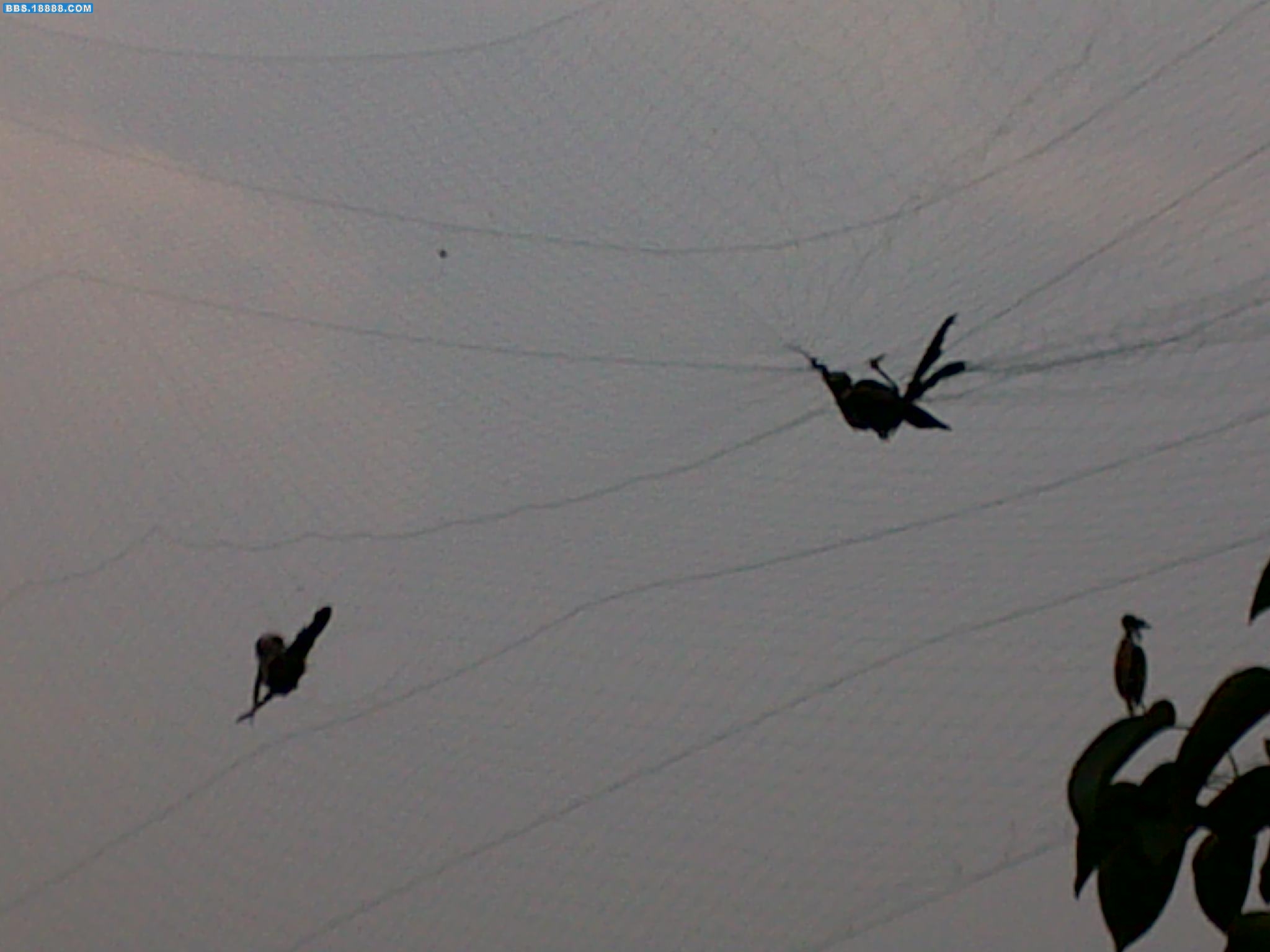 20090926104.jpg