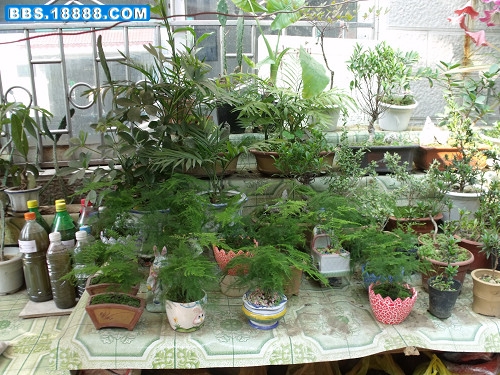 DSCF2105.JPG