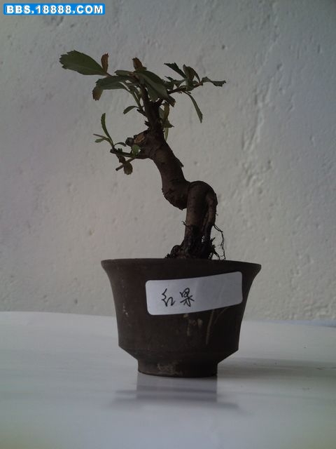 PICT0147.JPG