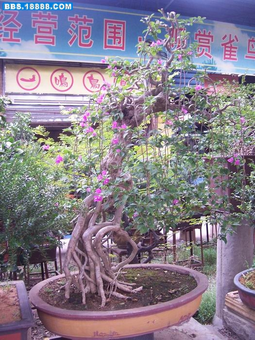 100_2898.JPG