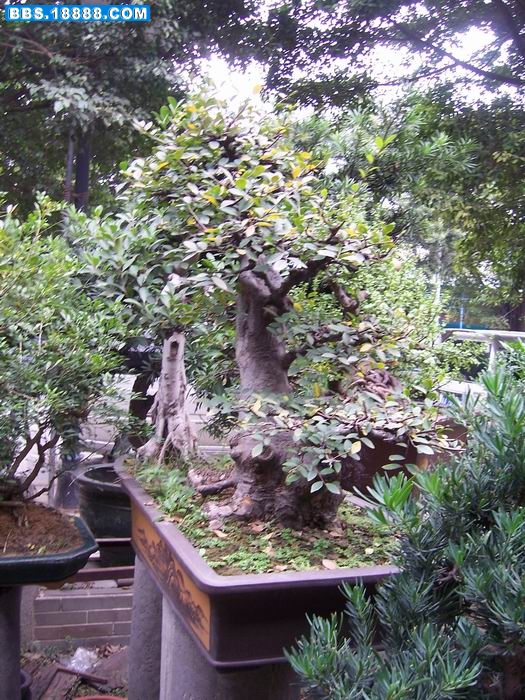100_2884.JPG