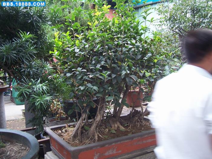 100_2892.JPG