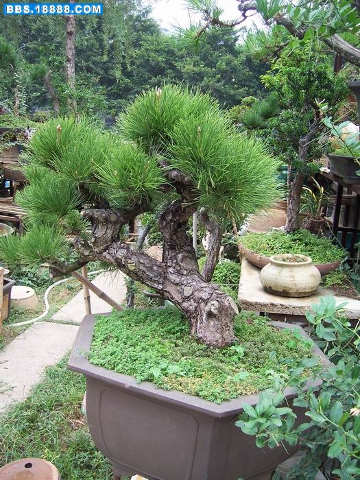 100_2922.JPG