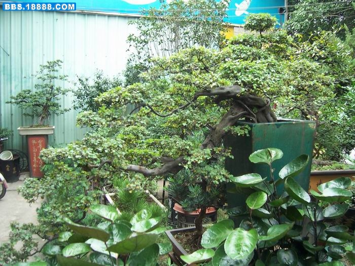 100_2883.JPG