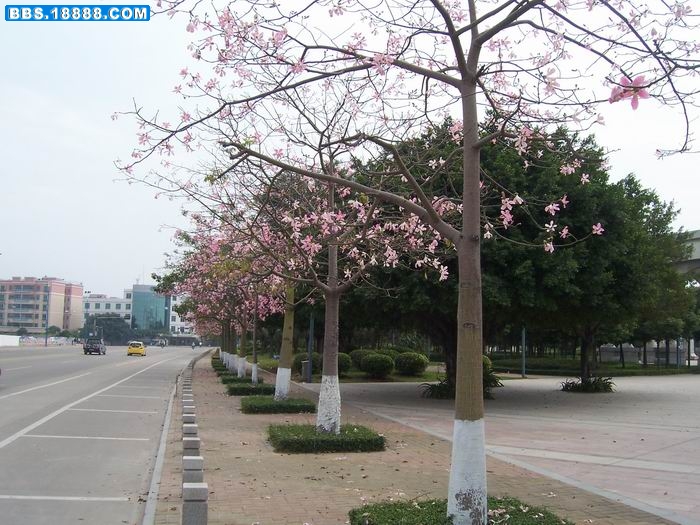 100_2780.JPG