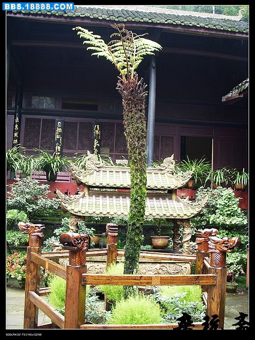 一枝1.jpg