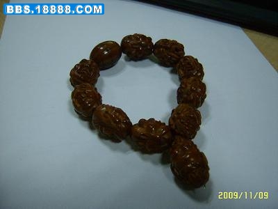 SUC50792.JPG