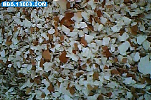 IMG0108A.jpg