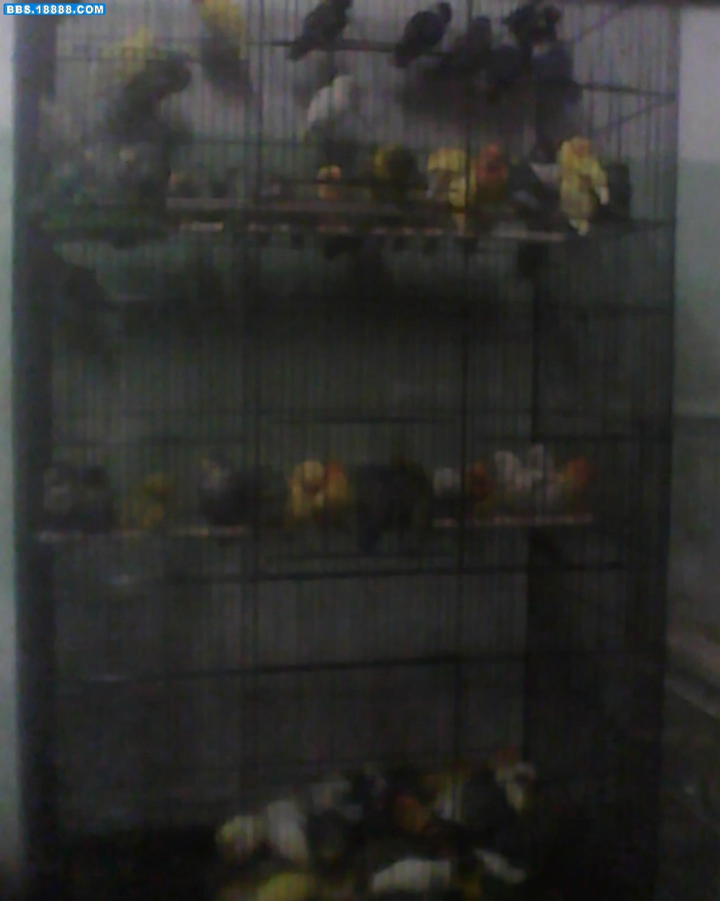 IMG0400A.jpg