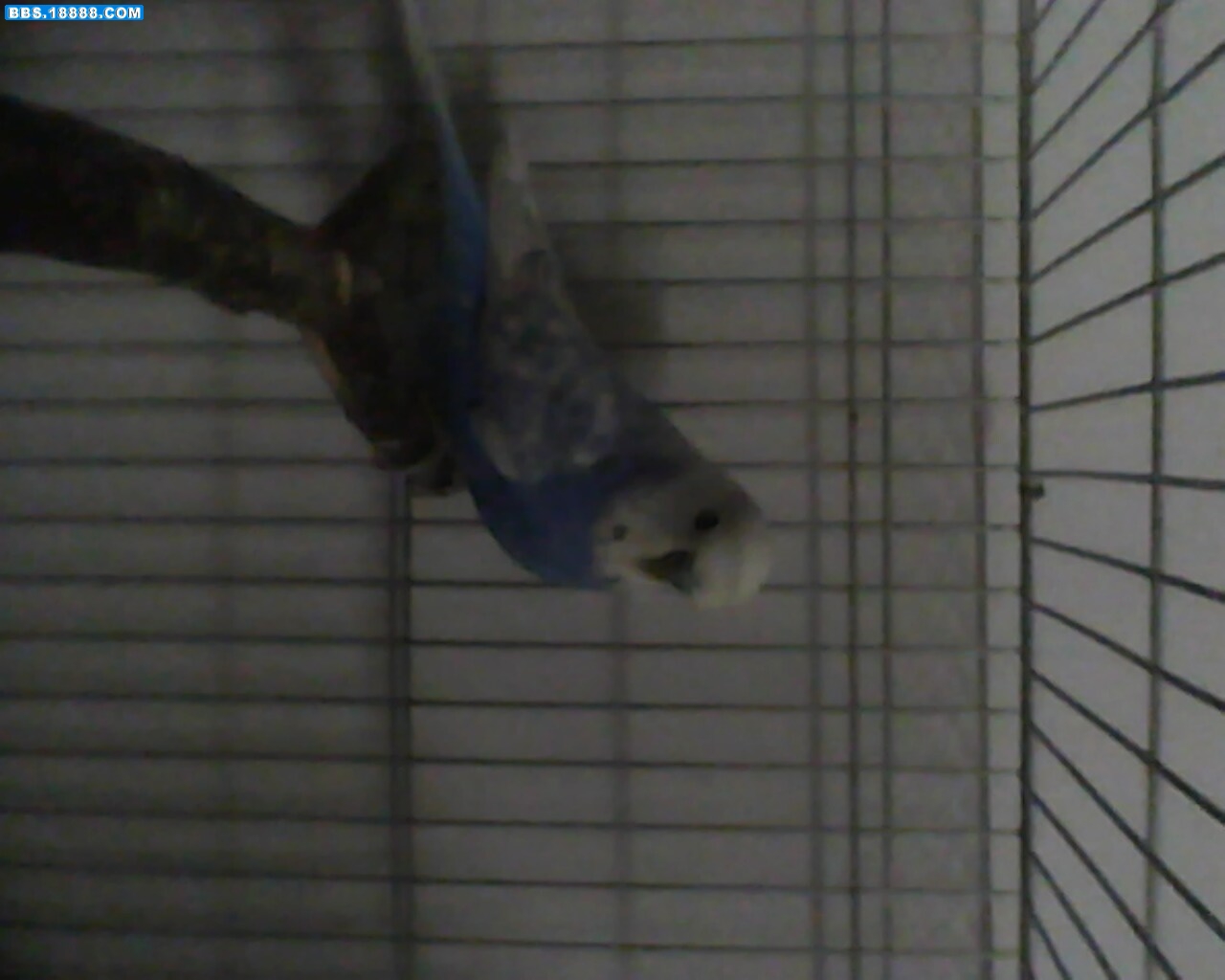 IMG1000A.jpg