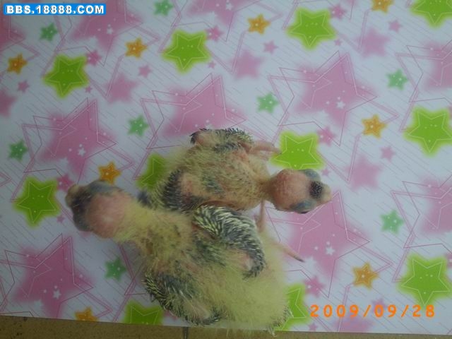 调整大小 PICT1049.JPG