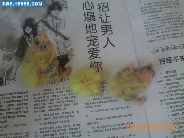 调整大小 PICT1040.JPG