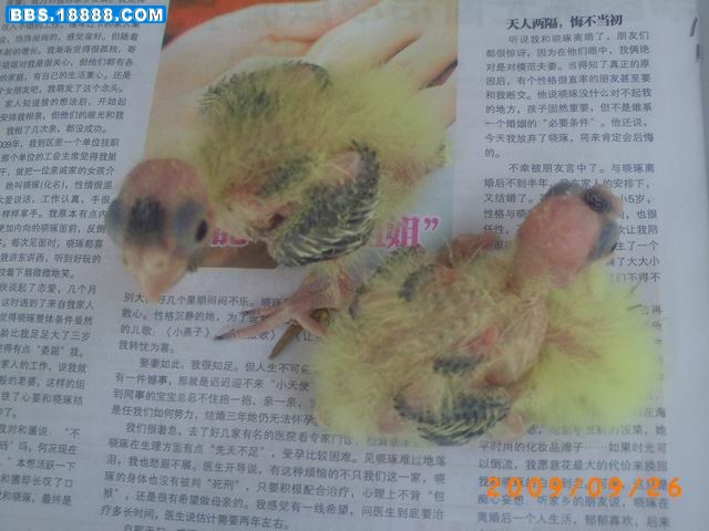 调整大小 PICT1046.JPG