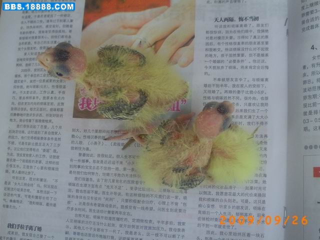 调整大小 PICT1045.JPG