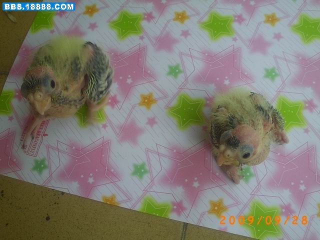调整大小 PICT1051.JPG