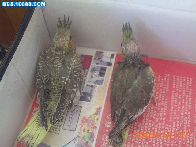 调整大小 PICT1087.JPG
