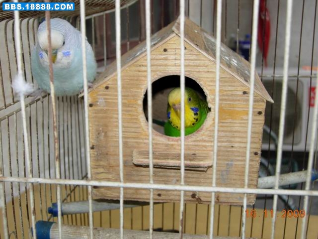 DSCN1075.jpg