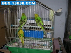 DSCN4773.JPG