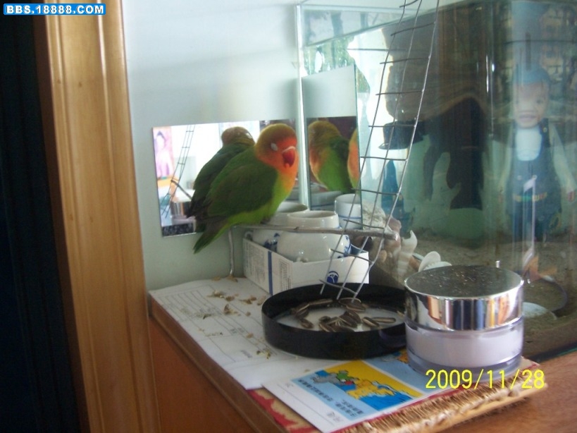 100_9634小.jpg