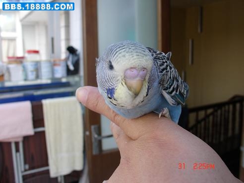 DSC05230.JPG