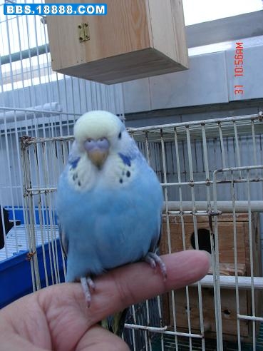 DSC05185.JPG