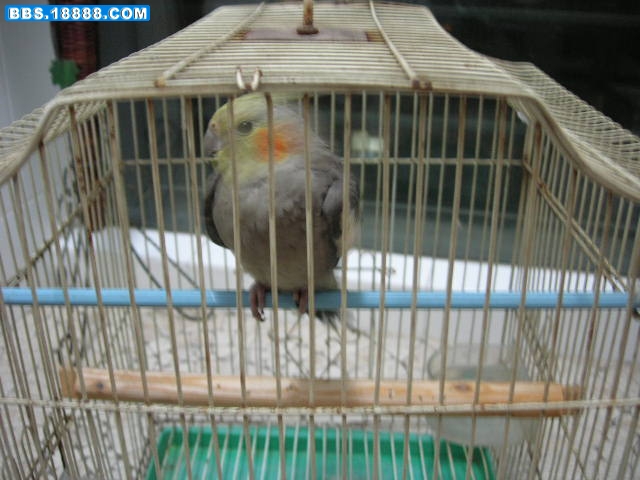 DSCN3598.JPG