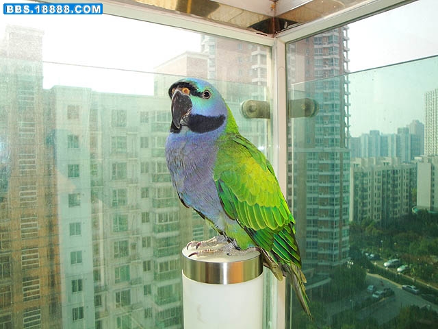 DSC00854.jpg