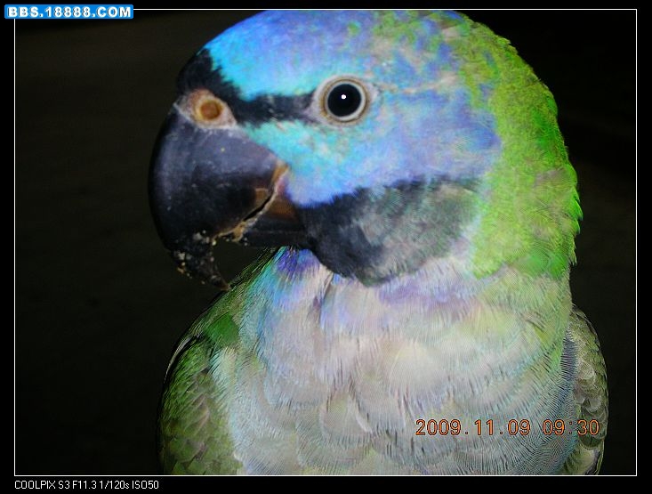 DSCN3043.jpg