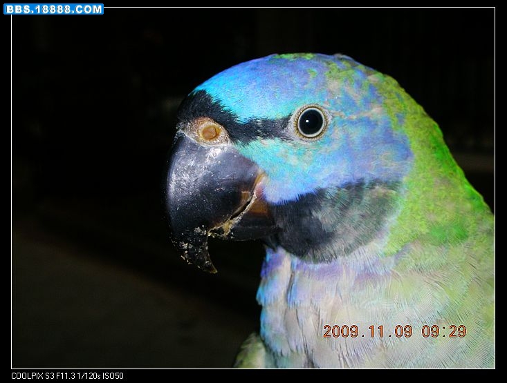 DSCN3040.jpg