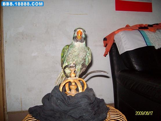 ALIM0030.JPG