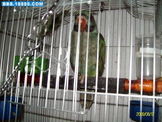 ALIM0015.JPG