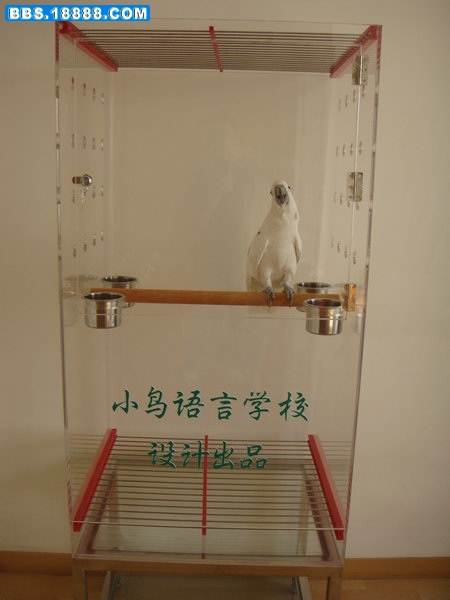 大葵模特DSC03047.JPG