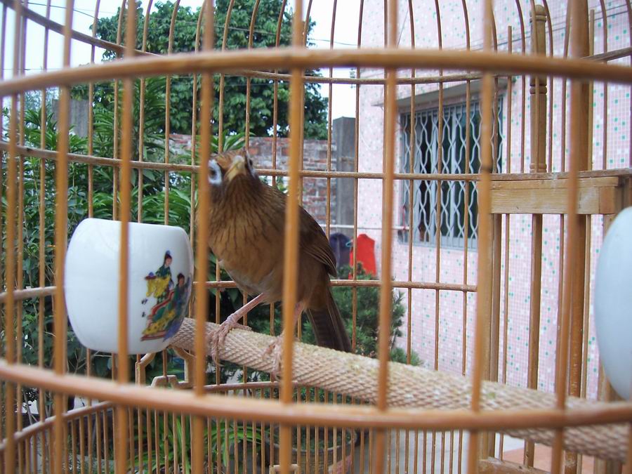 100_2692.JPG