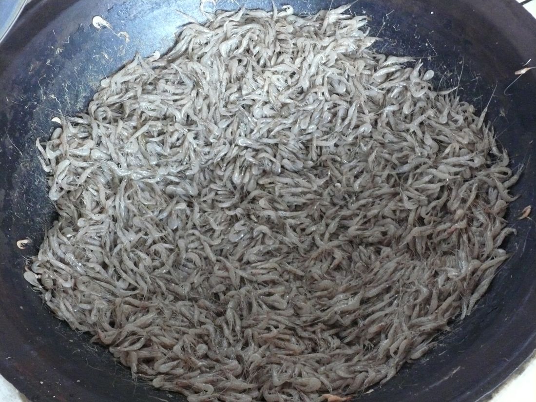虾粉.jpg