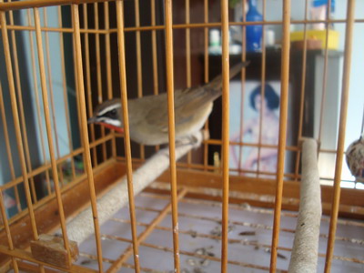 DSC04559_调整大小.JPG