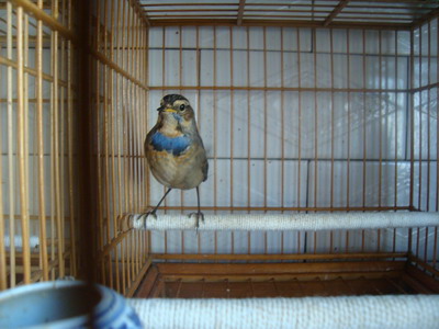 DSC04513_调整大小.JPG
