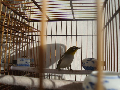 DSC04398_调整大小.JPG
