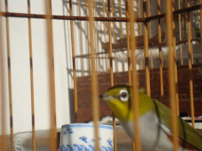 DSC04390_调整大小.JPG