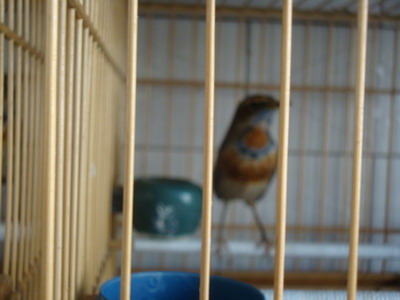 DSC04496_调整大小.JPG