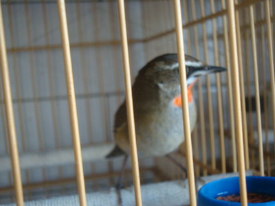 DSC04492_调整大小.JPG