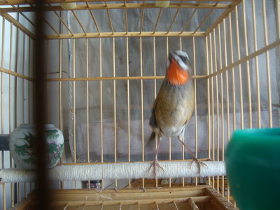 DSC04510_调整大小.JPG