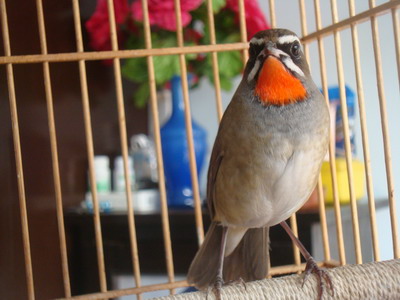 DSC04550_调整大小.JPG