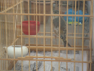 DSC04384_调整大小.JPG