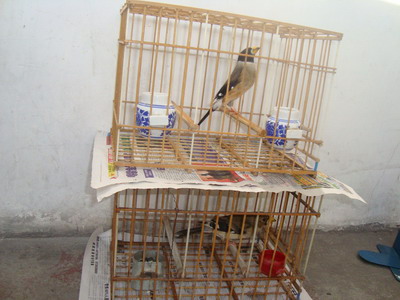 DSC04382_调整大小.JPG