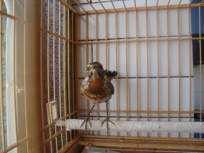 DSC04404_调整大小.JPG
