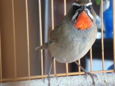 DSC04555_调整大小.JPG