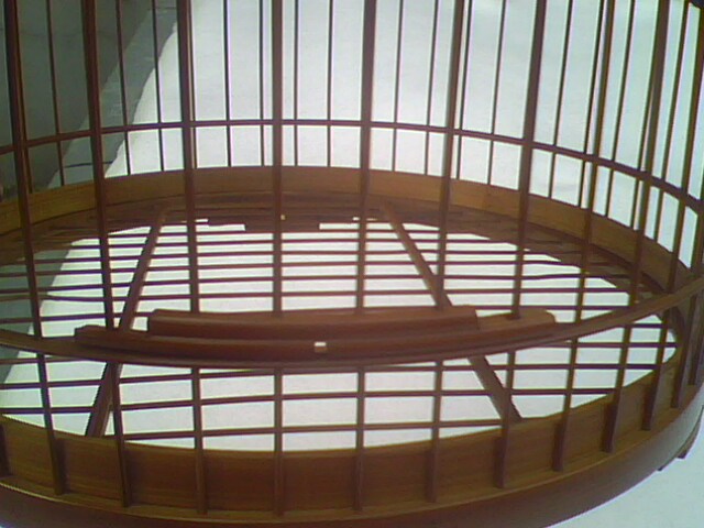 IMG2388A.jpg