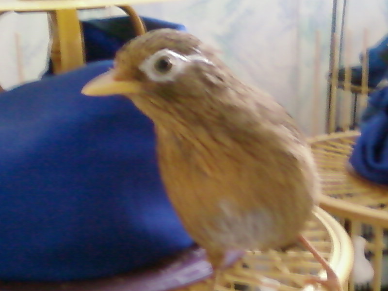 SP_A0138.jpg