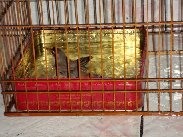 DSC00955.jpg