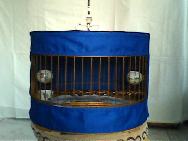 IMG0661A.jpg